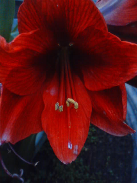DSC00841.jpg