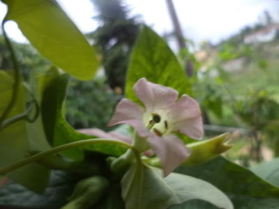 DSC00841.jpg