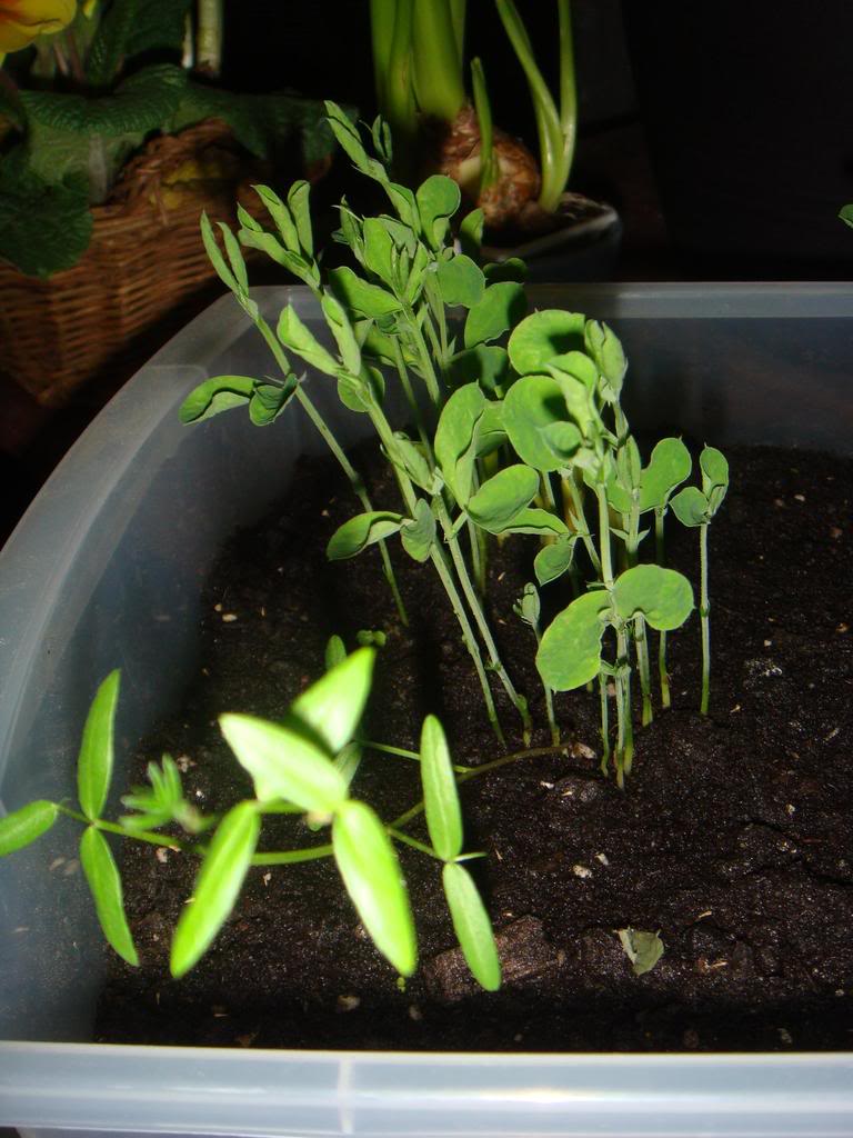 DSC00843.jpg