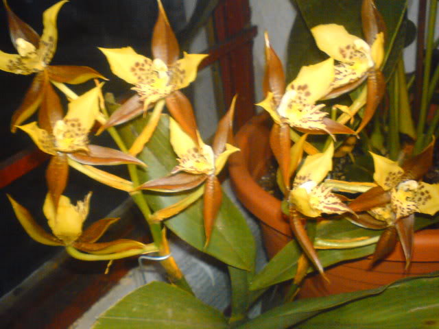 DSC00847.jpg
