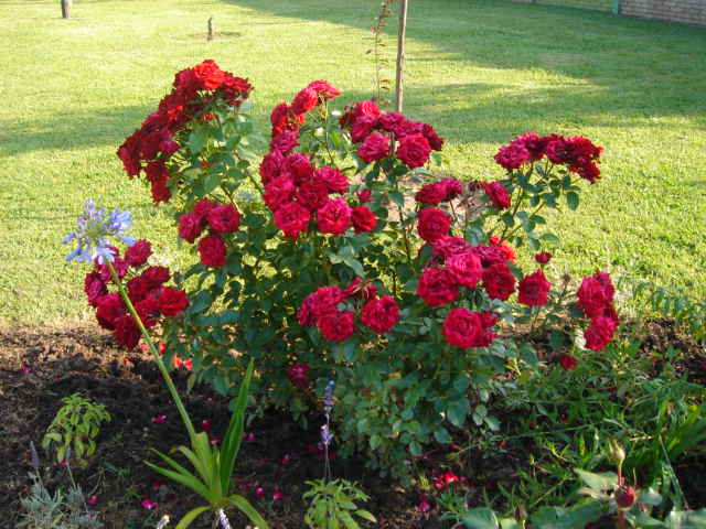 DSC00848.JPG