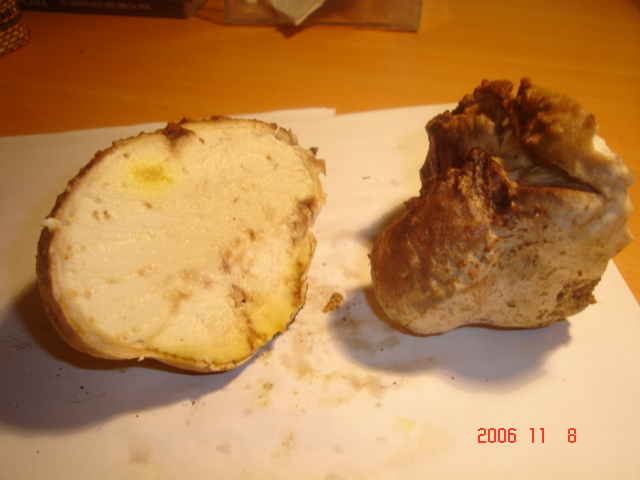 DSC00854.JPG