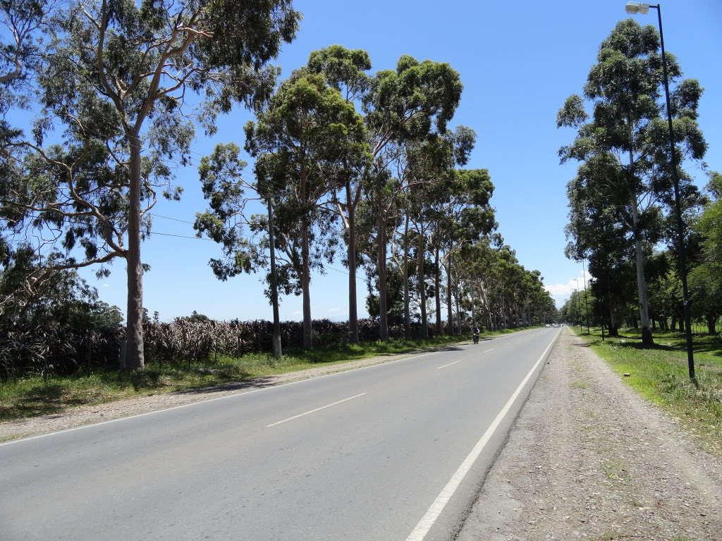 DSC008551.jpg