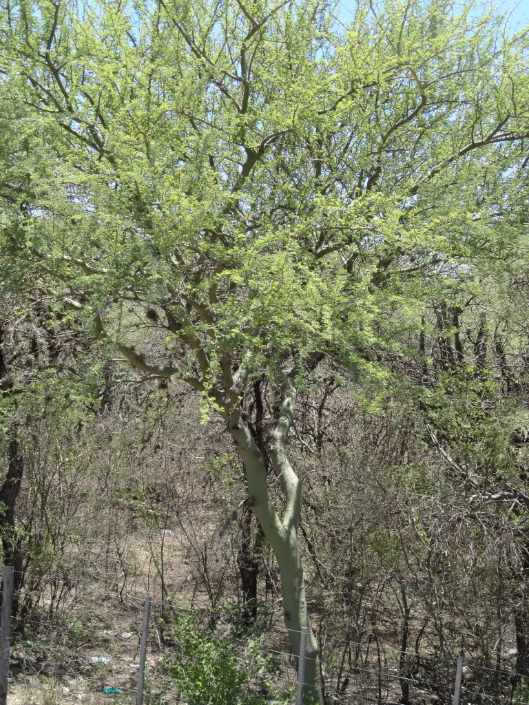 DSC008581.jpg