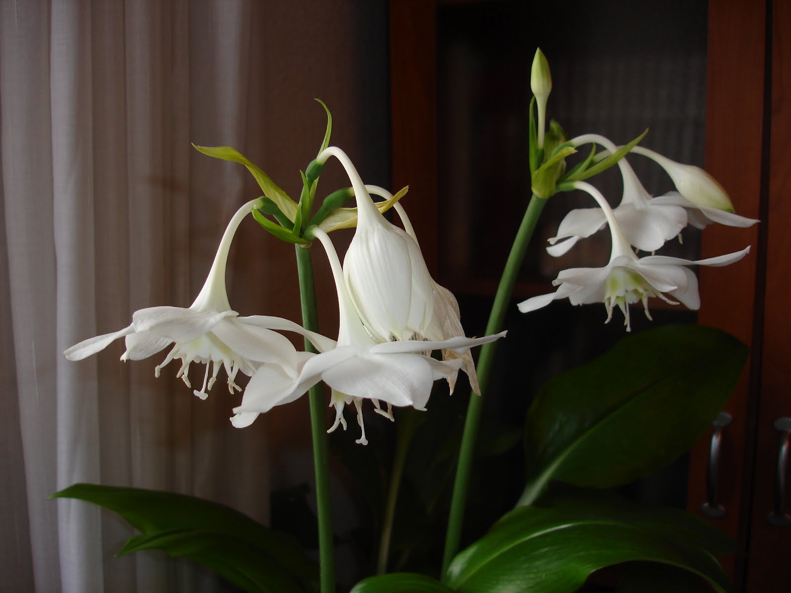 DSC00861.JPG