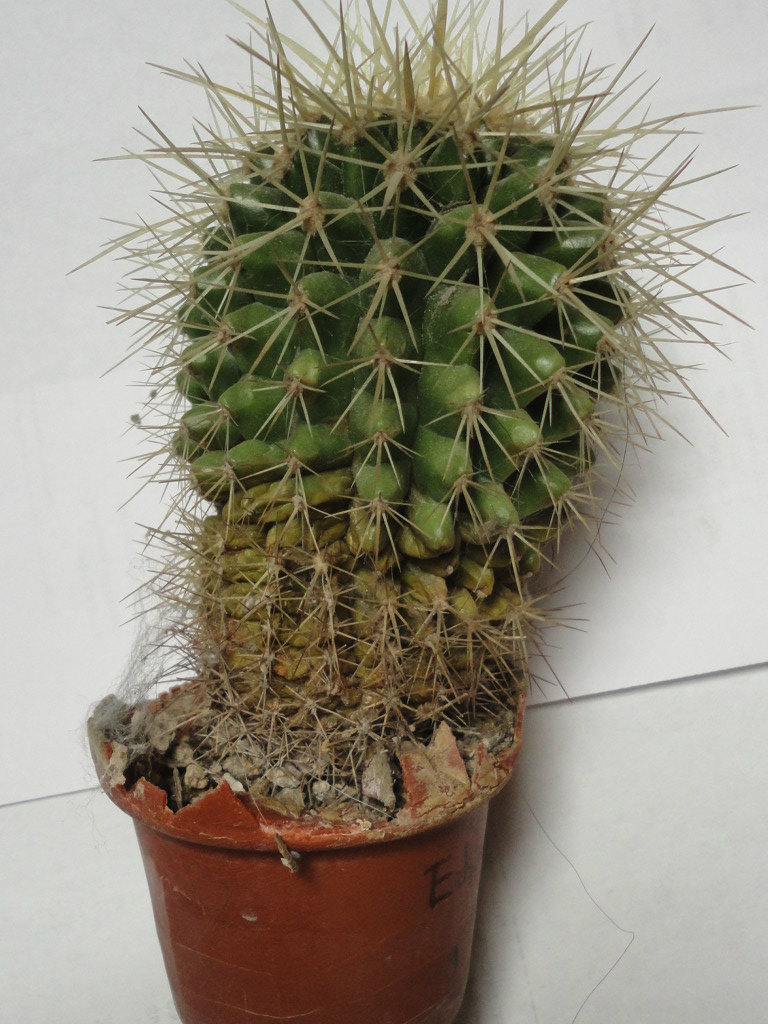 DSC00872.jpg
