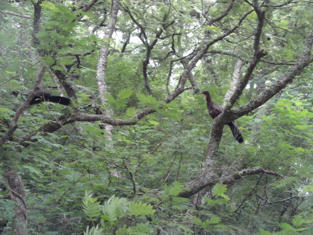 DSC008721.jpg