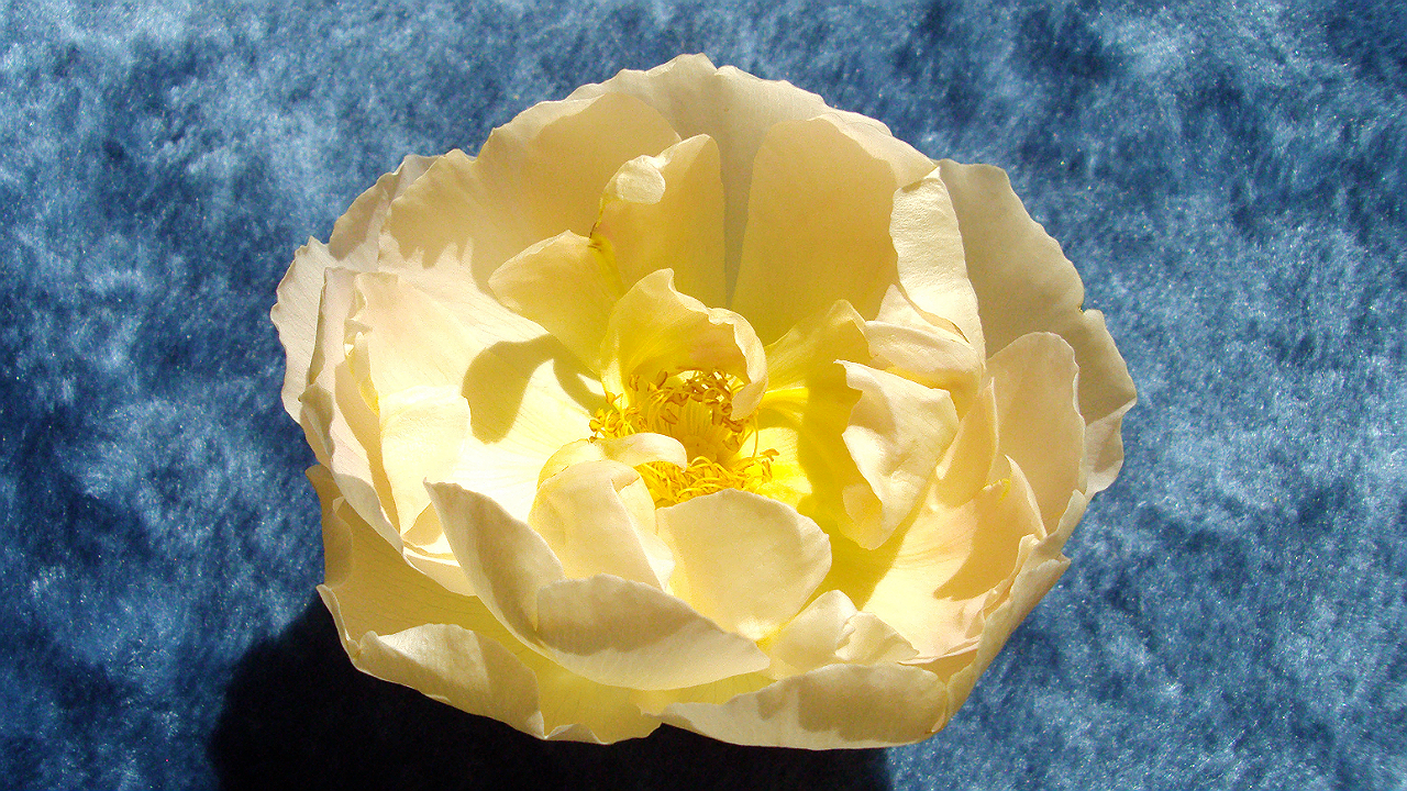 dsc00883.jpg