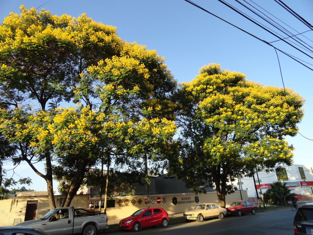 DSC008831.jpg