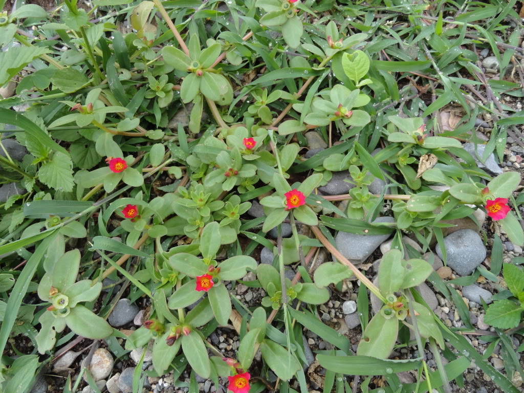 DSC008951.jpg
