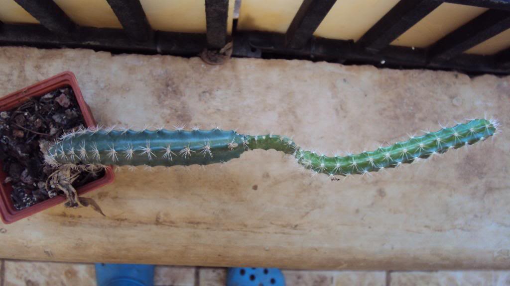 DSC00898.jpg
