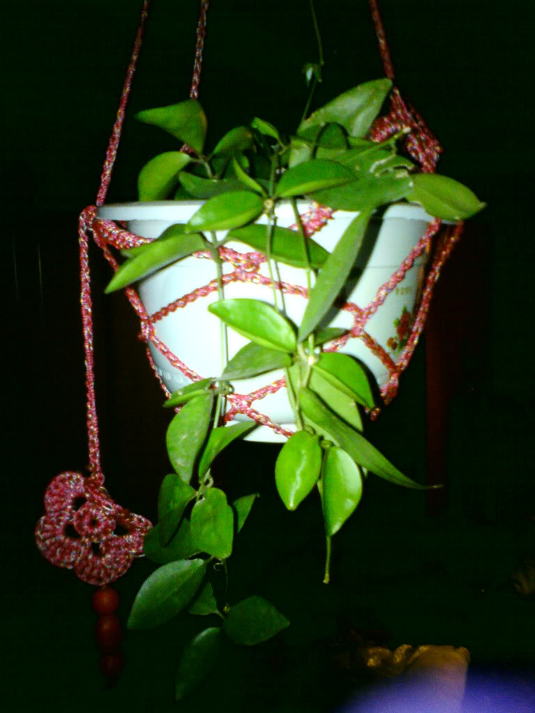 DSC00905.jpg