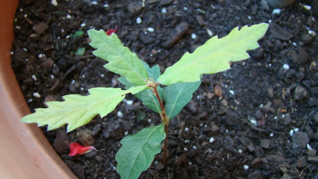 DSC00908.jpg