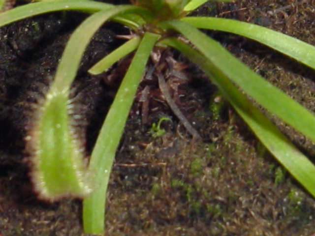 DSC00915.JPG