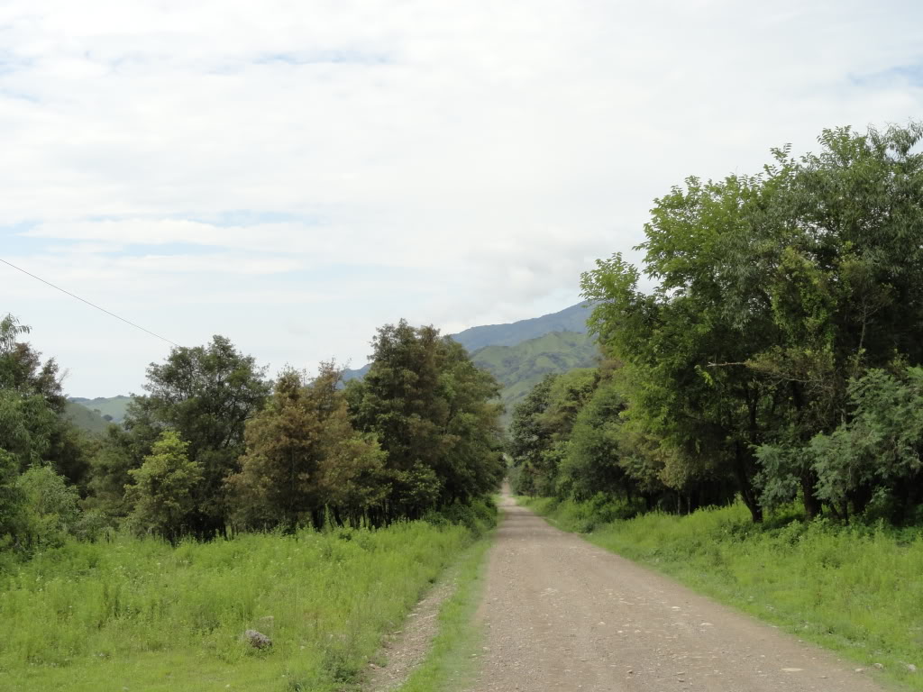 DSC009191.jpg