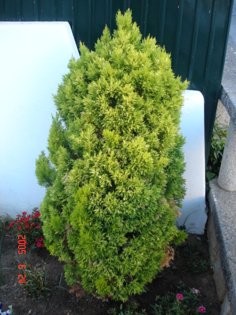 DSC00924.JPG