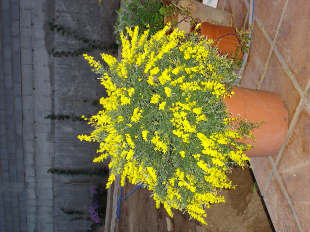 DSC00932.JPG