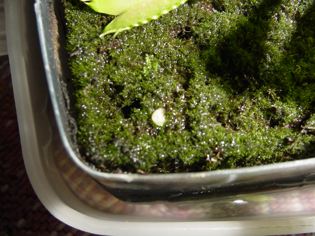 DSC00934%7E0.JPG