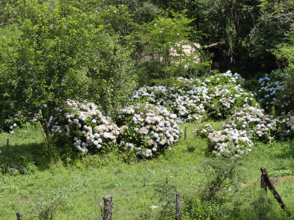 DSC009501.jpg