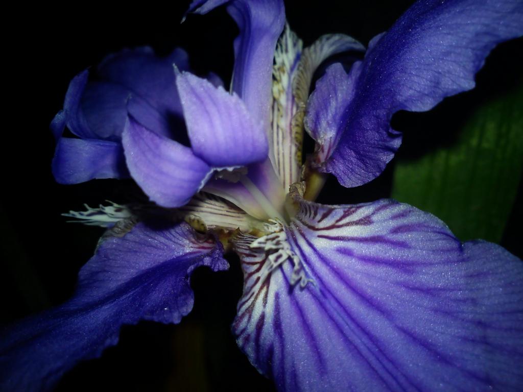 DSC00954_zps15fa9852.jpg