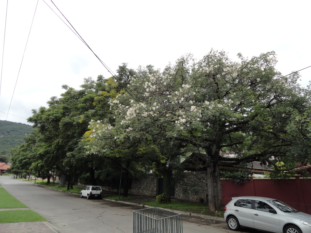 DSC010221_zps0450bda6.jpg
