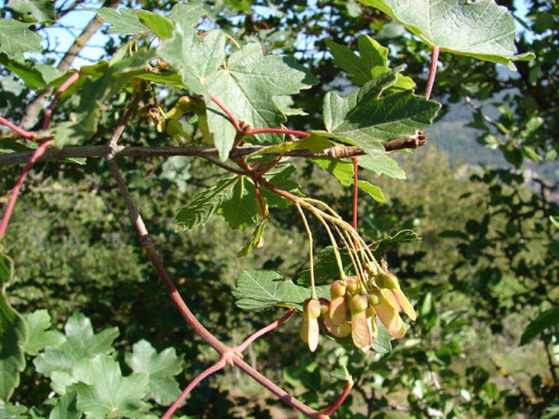 DSC01044%7E0.JPG