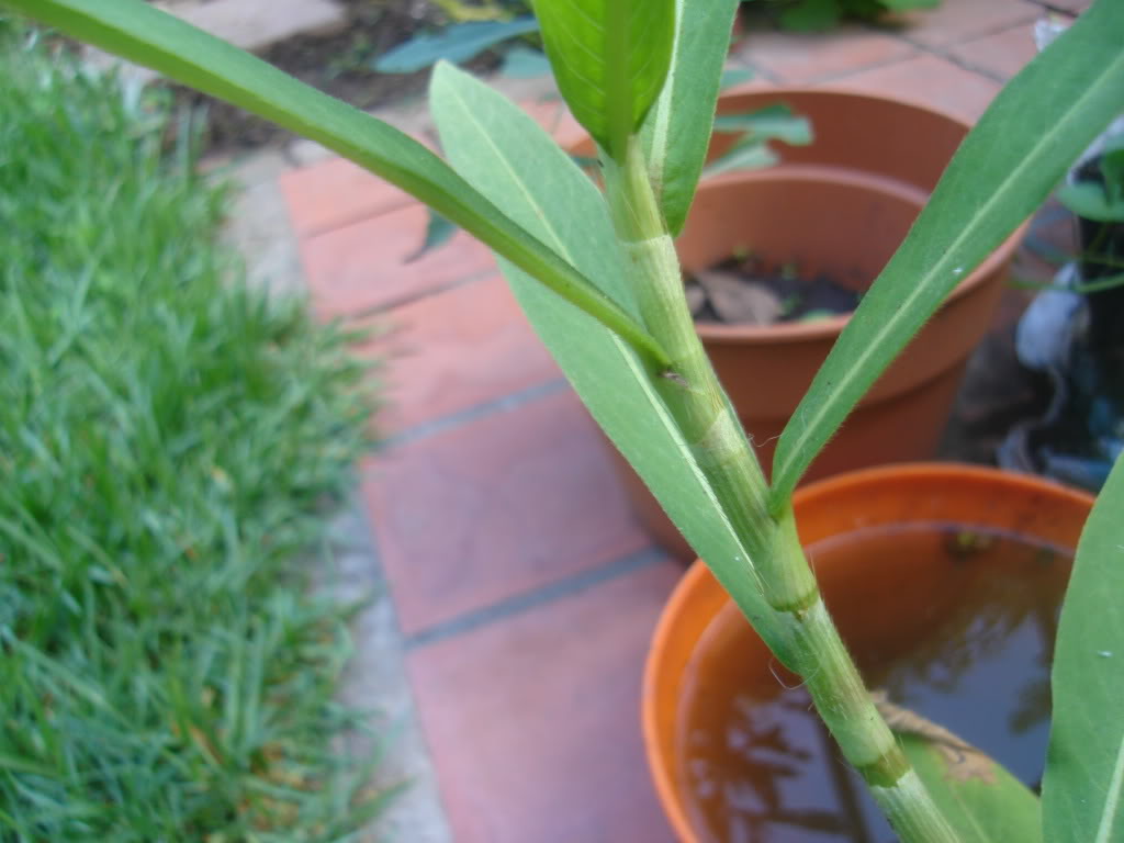 DSC01048.jpg