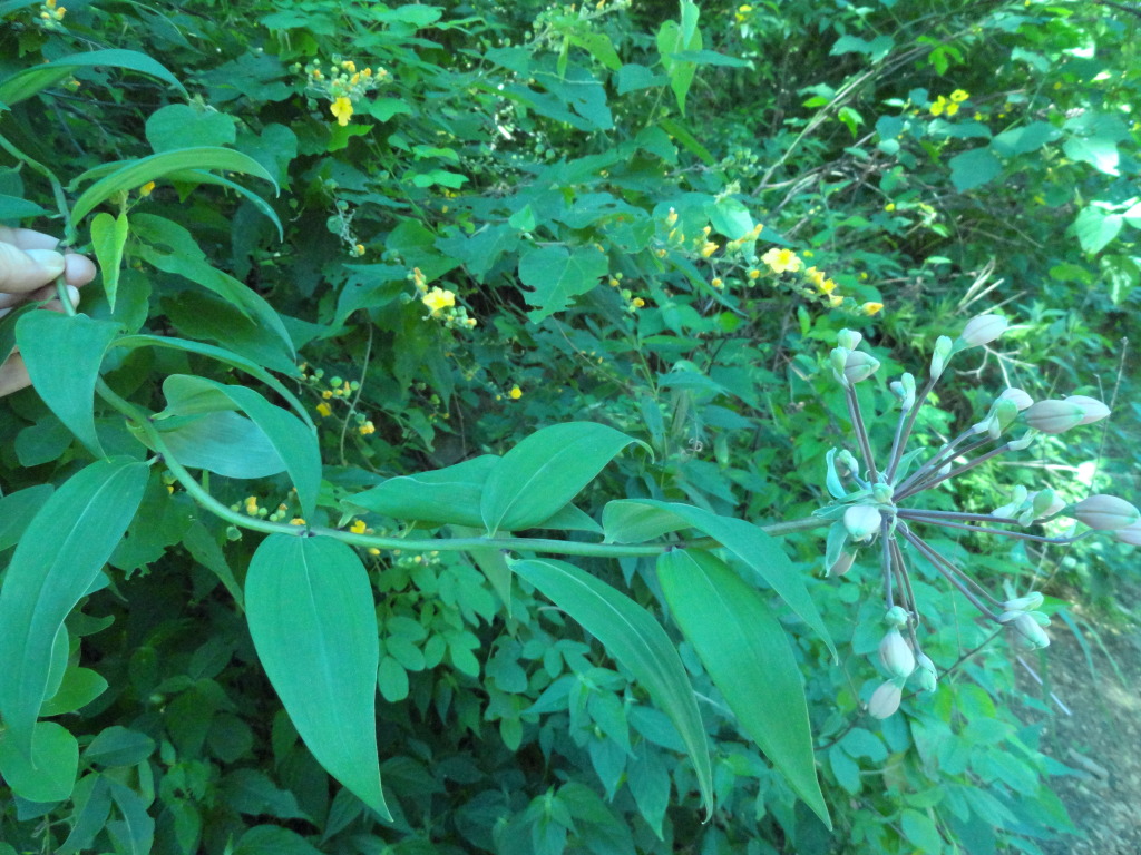 DSC010501_zps59405610.jpg
