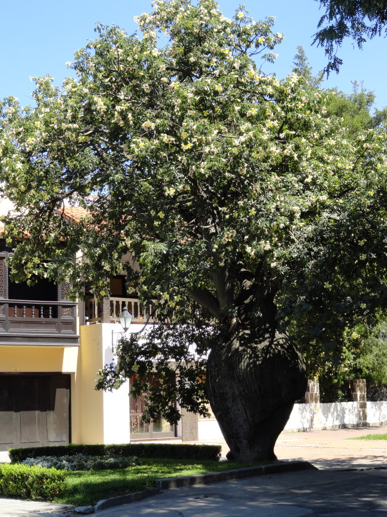 DSC010541_zps051b0dde.jpg