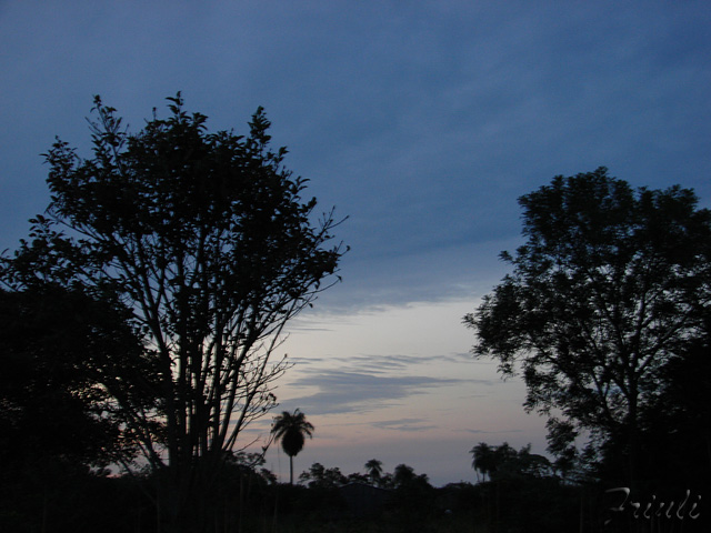 DSC01061_copiar.jpg