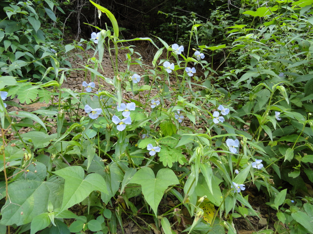 DSC010681_zps29fbda78.jpg