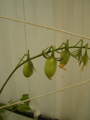 DSC01072.JPG