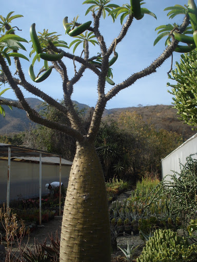DSC01072.JPG