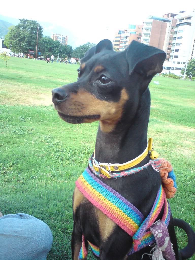 DSC01073.jpg