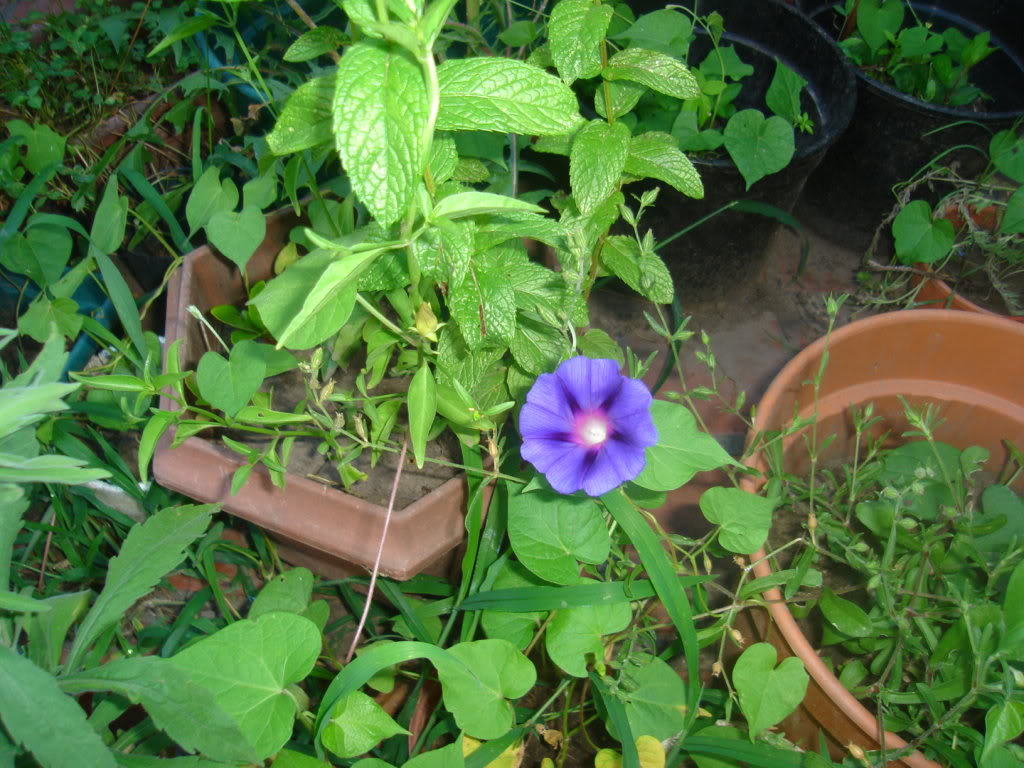 DSC01074.jpg