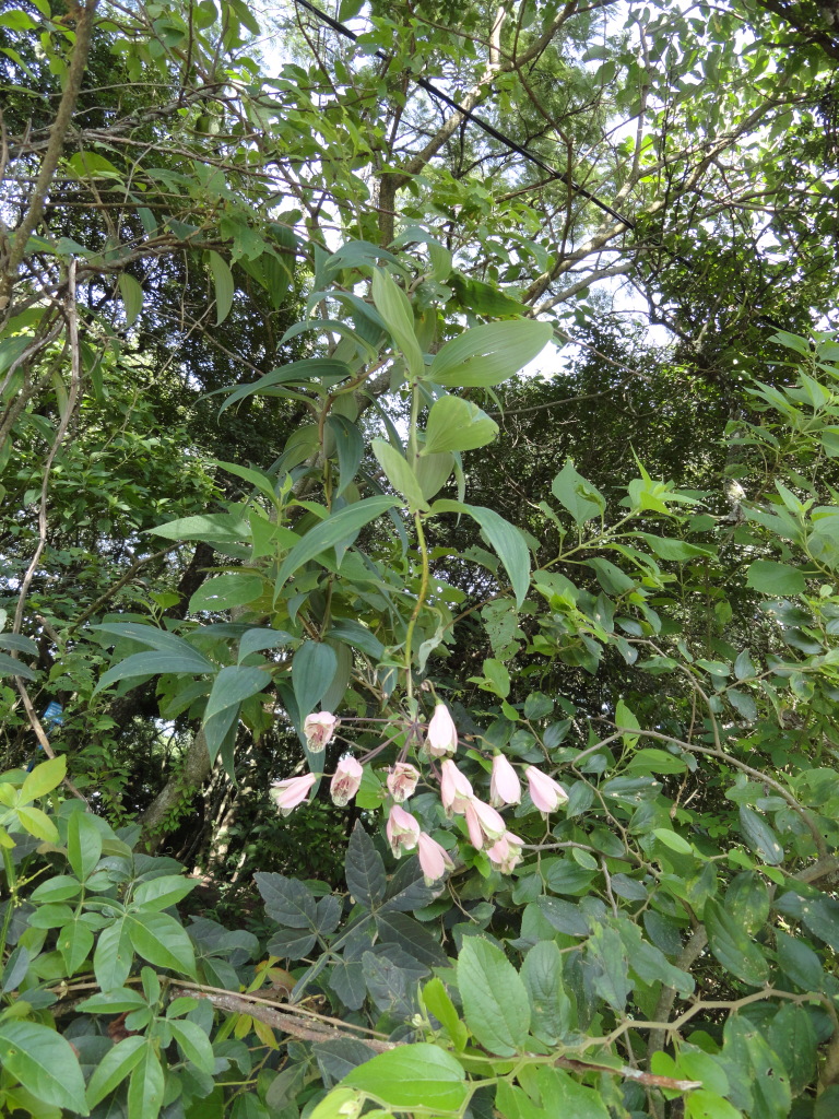 DSC010741_zps4865d46a.jpg