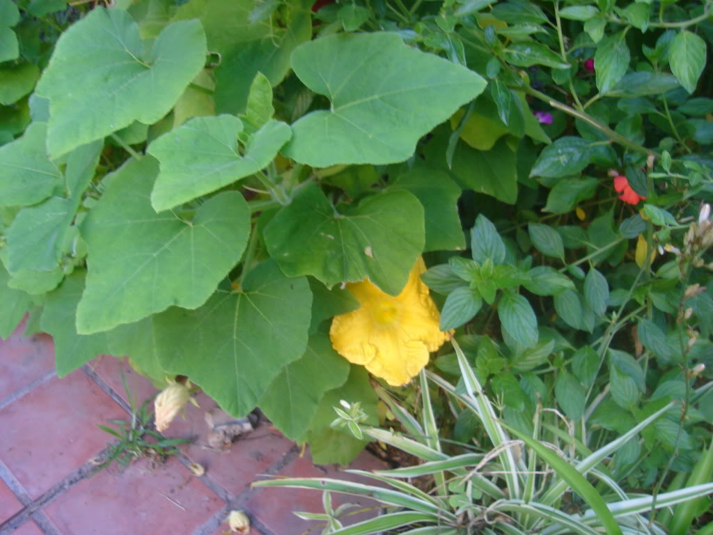 DSC01076.jpg