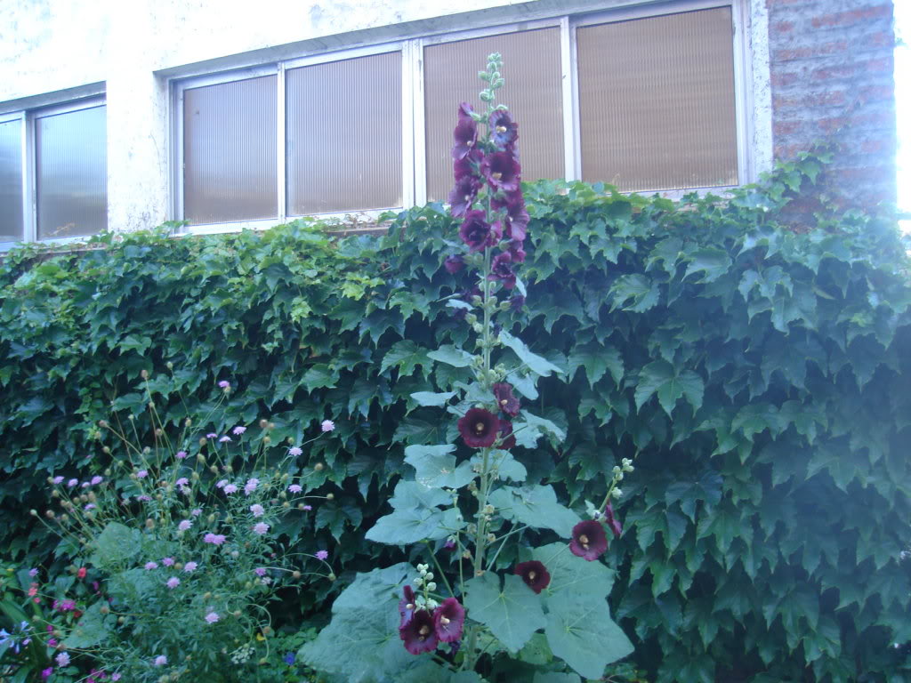 DSC01078.jpg