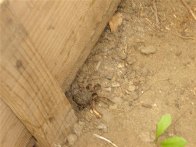 DSC01086.JPG