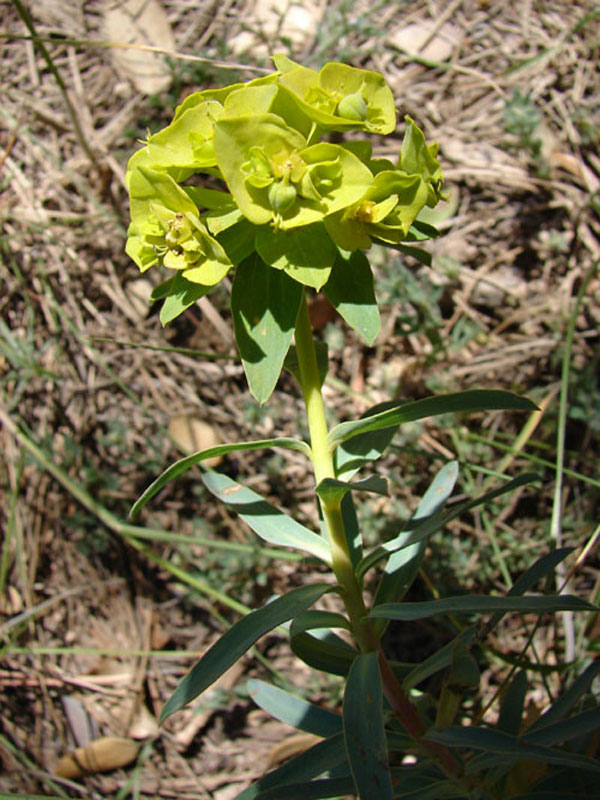 DSC01091.JPG