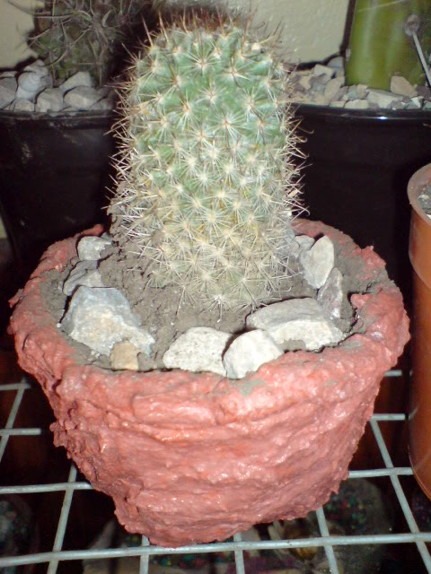 DSC01095.jpg