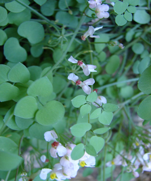DSC01112.JPG