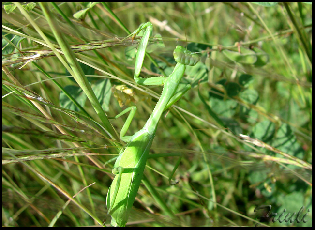DSC01112_copiar.jpg