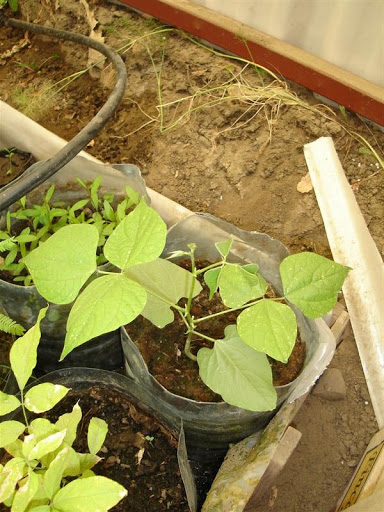 DSC01116.JPG
