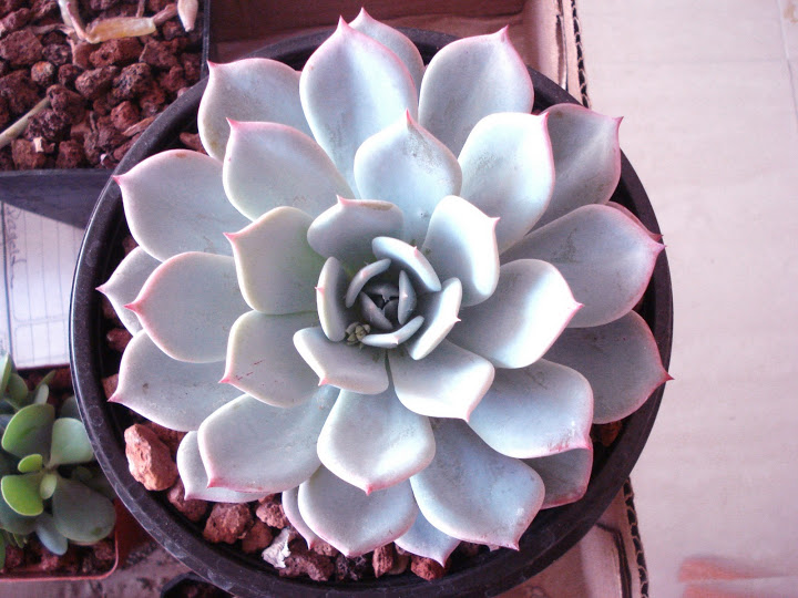 DSC01116.JPG