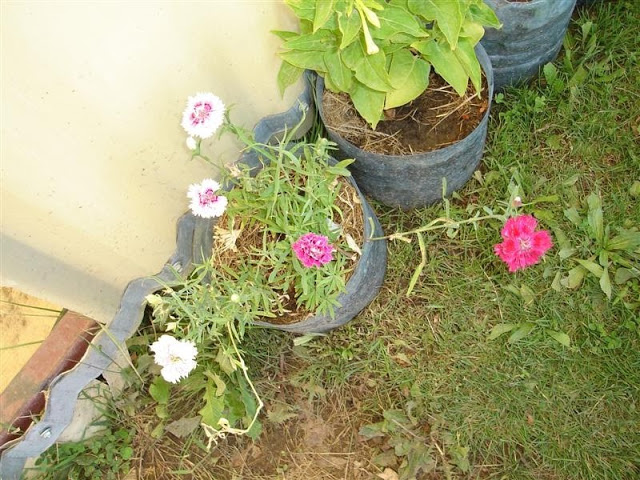 DSC01120.JPG
