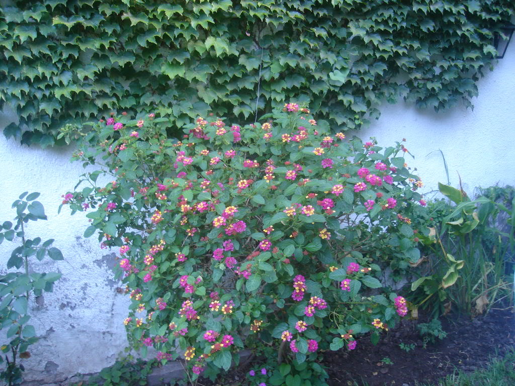 DSC01122.jpg