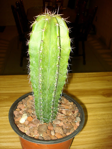 DSC01122.JPG