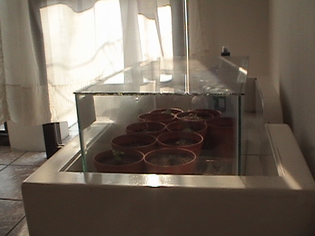 DSC01123.JPG