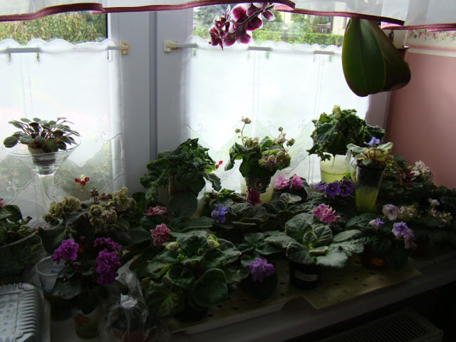 DSC01123.JPG